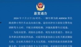 河津最新爆料消息,揭秘神秘事件背后的惊人真相！