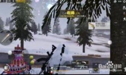 吃鸡爆料烟花怎么弄视频,吃鸡游戏中的烟花玩法揭秘