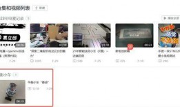 老挝录音爆料视频大全,视频大全背后的惊人真相