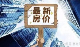 东莞新闻房价爆料事件,揭秘真实楼市动态